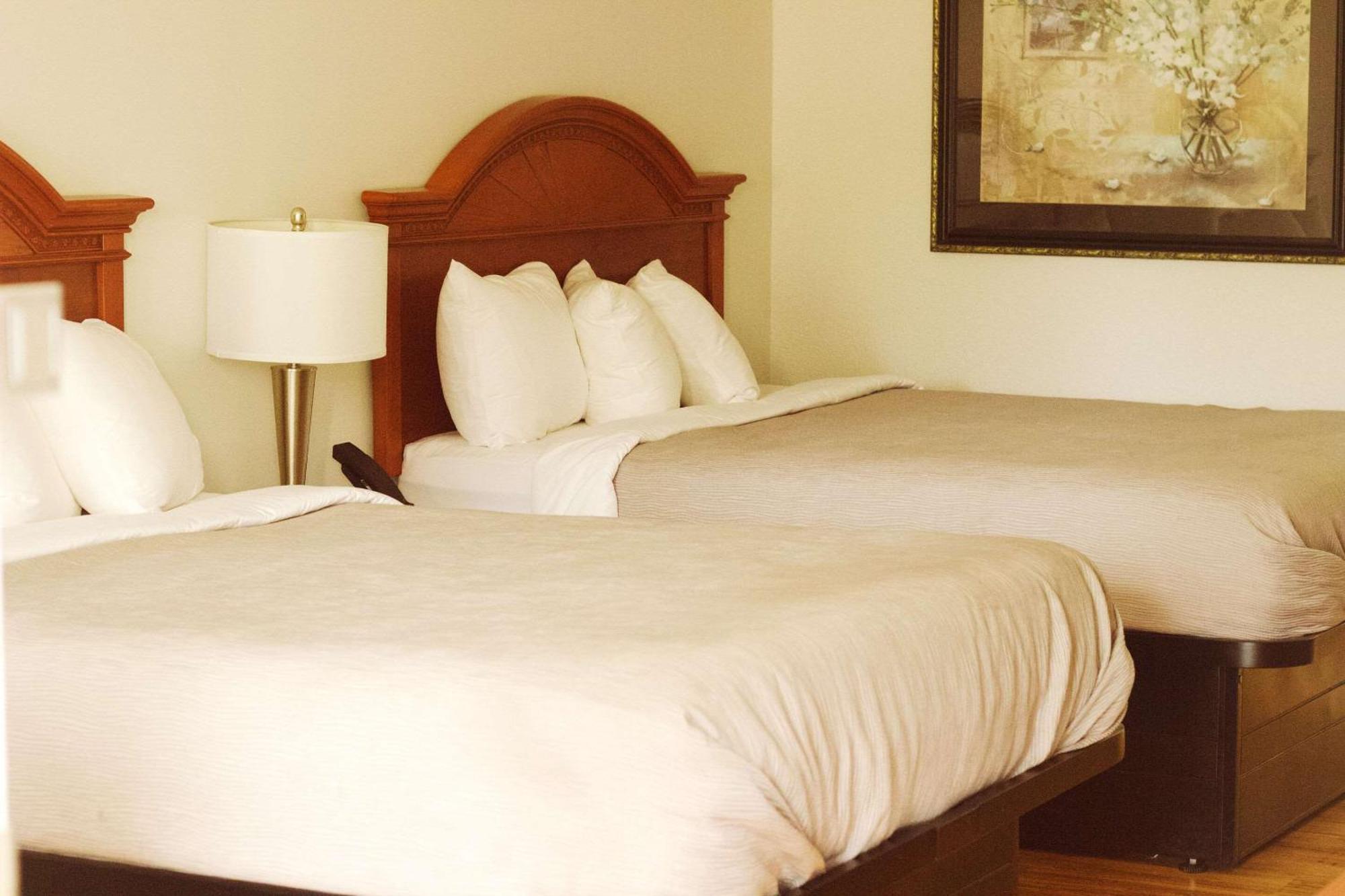 Quality Inn Near Chattanooga South رينغولد المظهر الخارجي الصورة